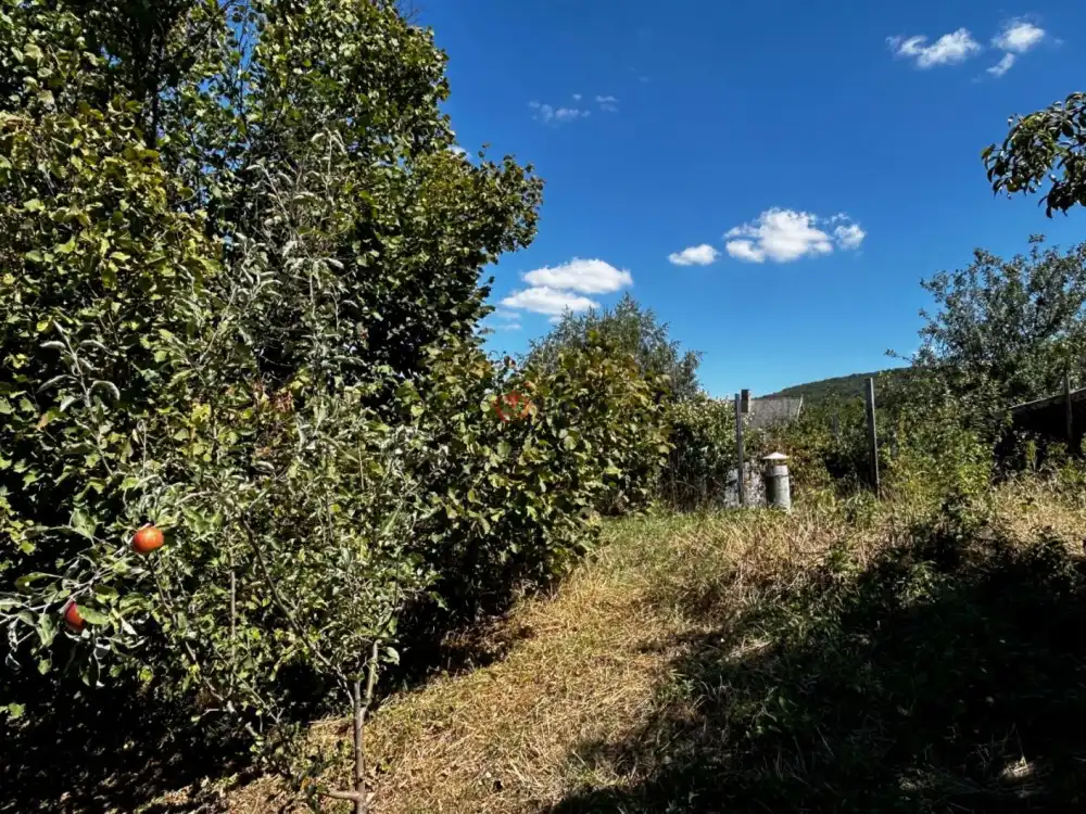 Komárom-Esztergom megye - Baj