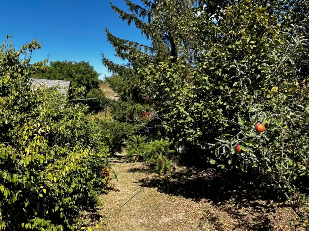 Komárom-Esztergom megye - Baj