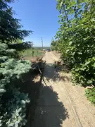 Komárom-Esztergom megye - Baj