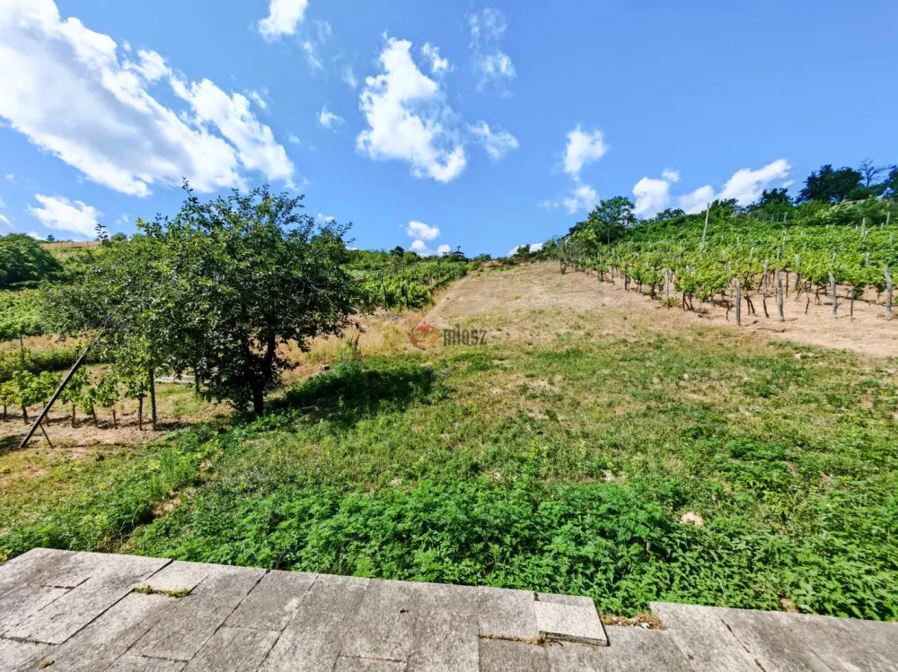 Komárom-Esztergom megye - Dunaszentmiklós