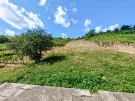 Komárom-Esztergom megye - Dunaszentmiklós