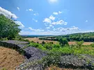 Komárom-Esztergom megye - Dunaszentmiklós