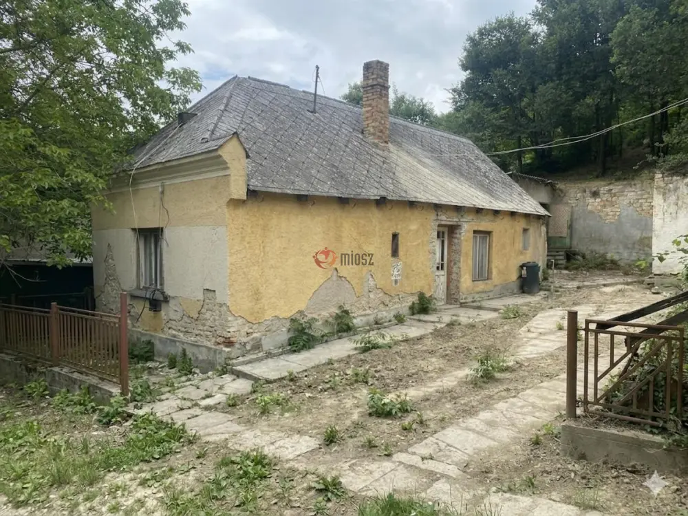 Komárom-Esztergom megye - Dunaszentmiklós