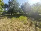 Komárom-Esztergom megye - Kisbér