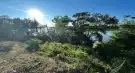 Komárom-Esztergom megye - Komárom