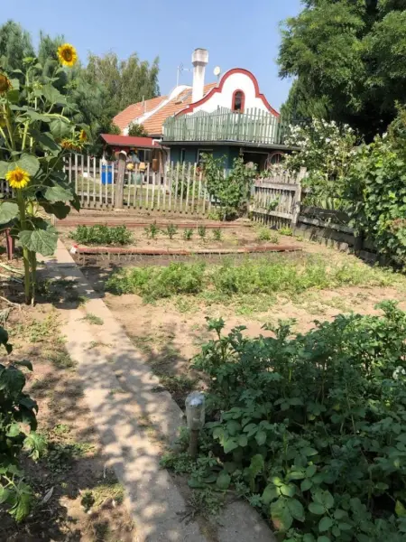 Eladó családi ház, Oroszlány 3+1 szoba 128 m² 76.9 M Ft