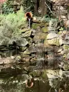 Komárom-Esztergom megye - Tata