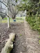 Komárom-Esztergom megye - Tata