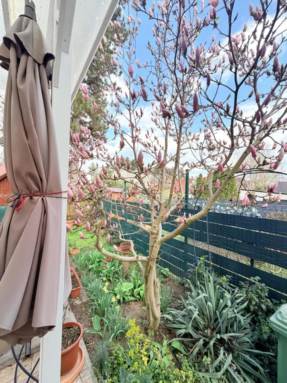 Komárom-Esztergom megye - Tata