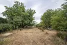 Komárom-Esztergom megye - Tata