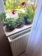 Komárom-Esztergom megye - Tatabánya
