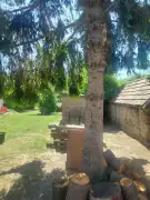 Komárom-Esztergom megye - Vértesszőlős