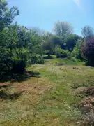 Komárom-Esztergom megye - Vértesszőlős