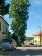 Komárom-Esztergom megye - Vértesszőlős