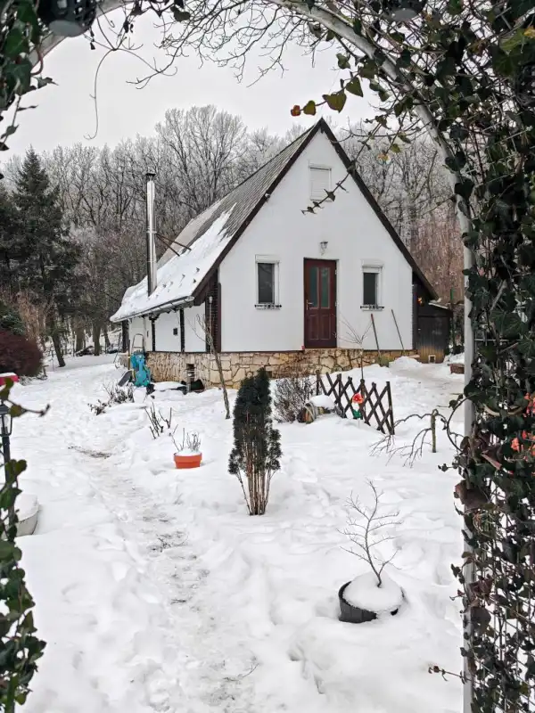 Eladó családi ház, Vértestolna 3 szoba 57 m² 38 M Ft