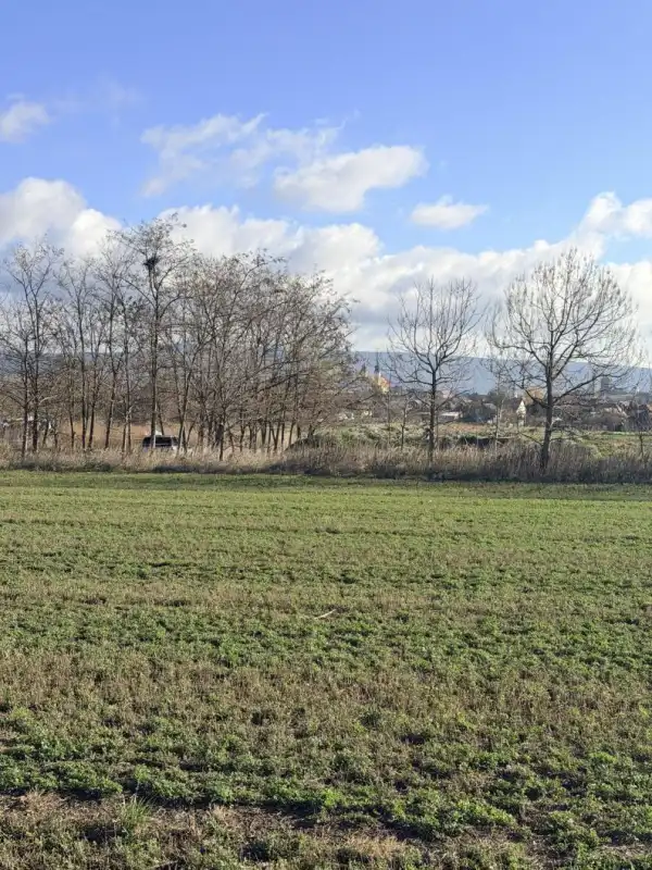 Eladó Építési telek, Tata 3400 m² 20.5 M Ft