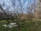 Komárom-Esztergom megye - Tatabánya