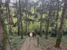 Komárom-Esztergom megye - Komárom