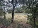 Komárom-Esztergom megye - Komárom
