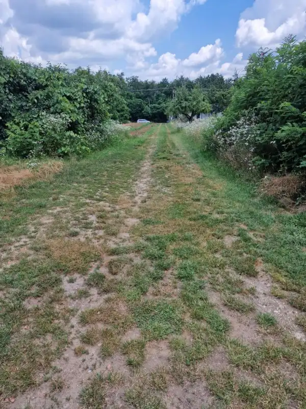 Eladó nyaraló, Oroszlány 2 szoba 45 m² 13 M Ft