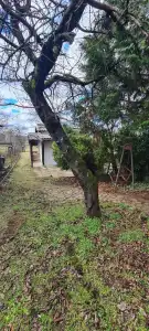 Komárom-Esztergom megye - Szomód