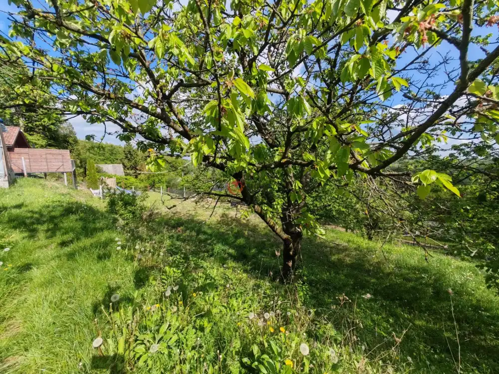 Komárom-Esztergom megye - Tatabánya