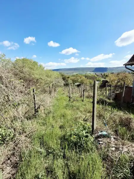 Eladó nyaraló, Tatabánya 2 szoba 33 m² 5.9 M Ft
