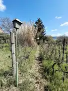 Komárom-Esztergom megye - Tatabánya