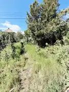 Komárom-Esztergom megye - Tatabánya