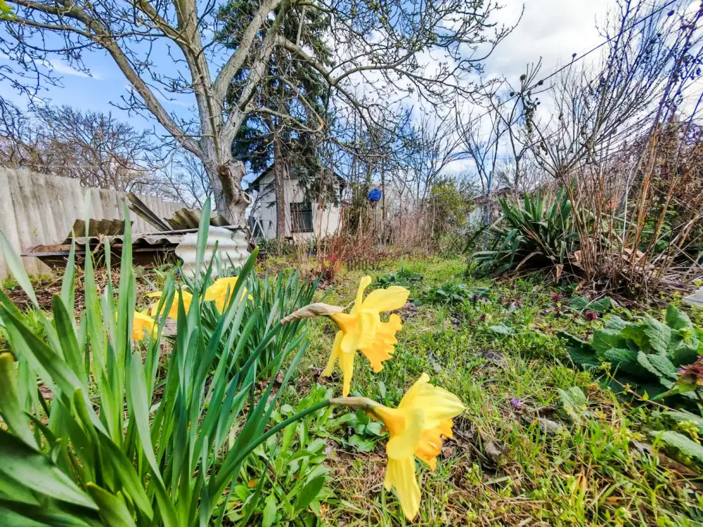 Komárom-Esztergom megye - Vértesszőlős