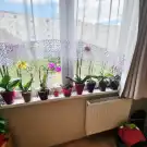 Komárom-Esztergom megye - Tatabánya
