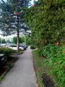 Komárom-Esztergom megye - Tatabánya