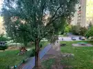 Komárom-Esztergom megye - Tatabánya
