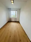 Komárom-Esztergom megye - Tatabánya