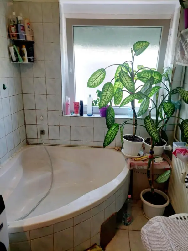 Eladó sorház, Bokod 2+1 szoba 89 m² 43.9 M Ft