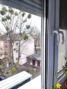 Komárom-Esztergom megye - Oroszlány