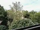 Komárom-Esztergom megye - Tatabánya