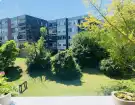 Komárom-Esztergom megye - Tatabánya