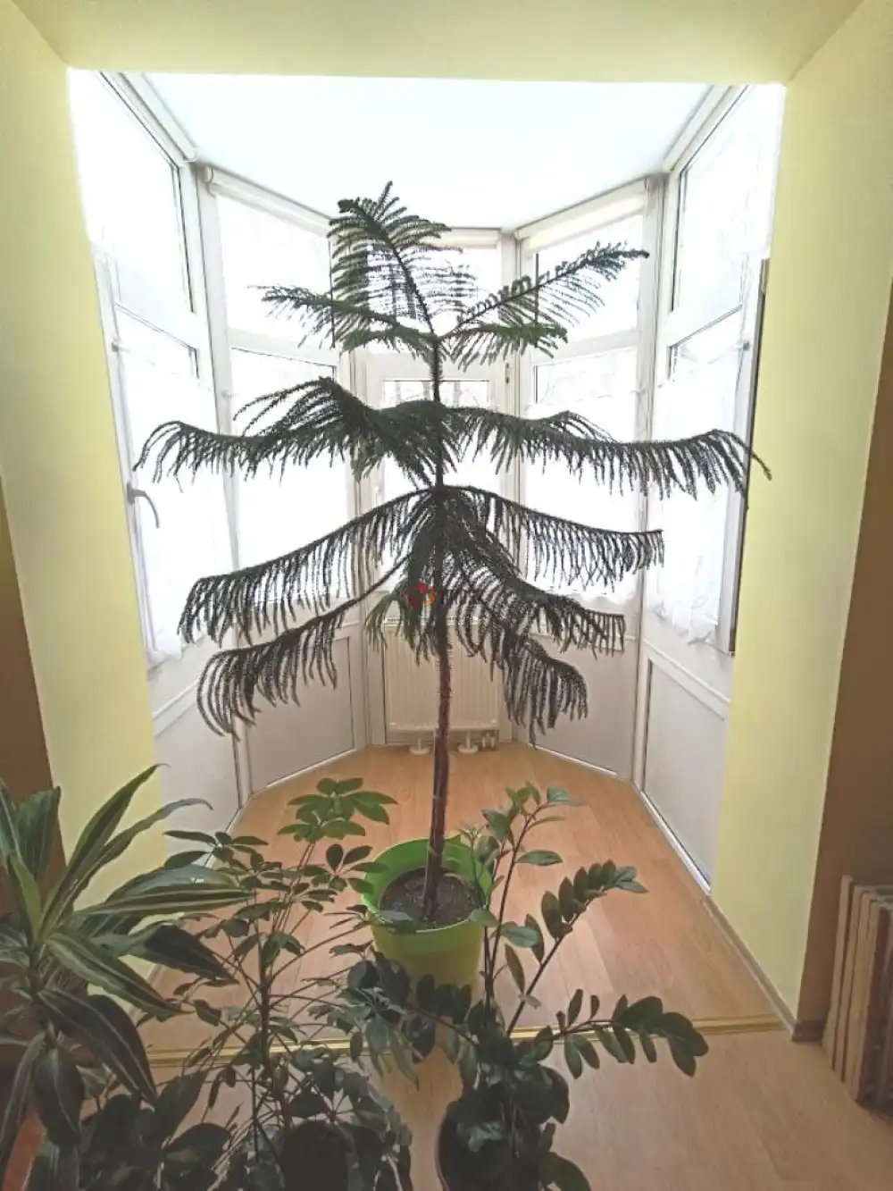 Komárom-Esztergom megye - Tatabánya