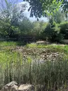 Komárom-Esztergom megye - Tata