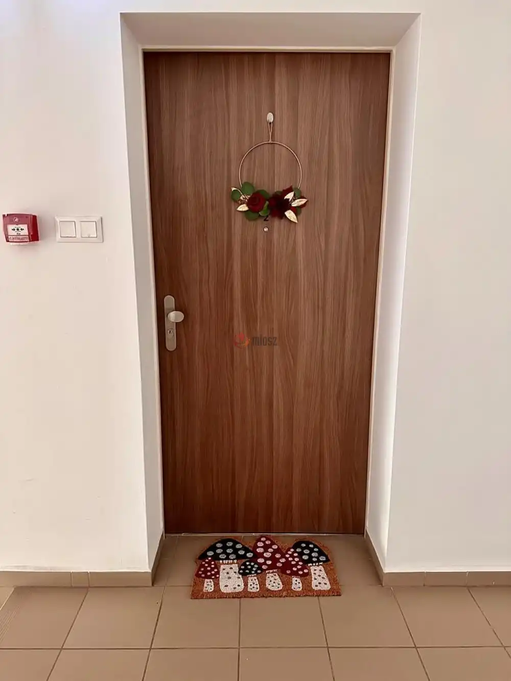 Komárom-Esztergom megye - Tatabánya