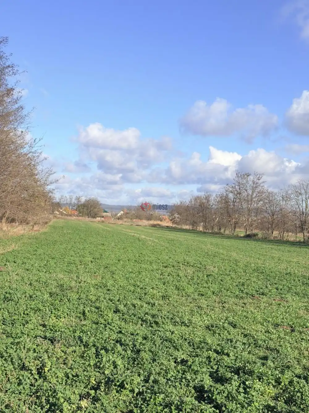 Komárom-Esztergom megye - Tata