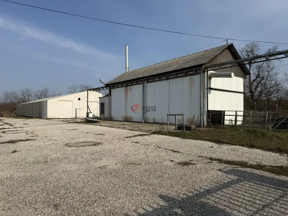 Komárom-Esztergom megye - Környe