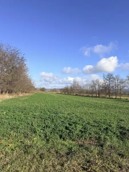 Kiadó mezőgazdasági ingatlan, Tata 3400 m² 200 E Ft/hó